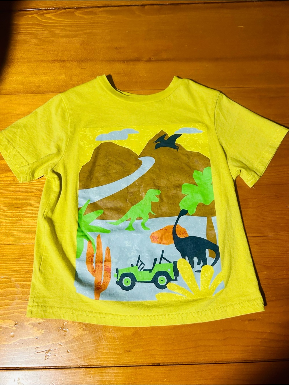 George 5T Dinosaur print tshirt